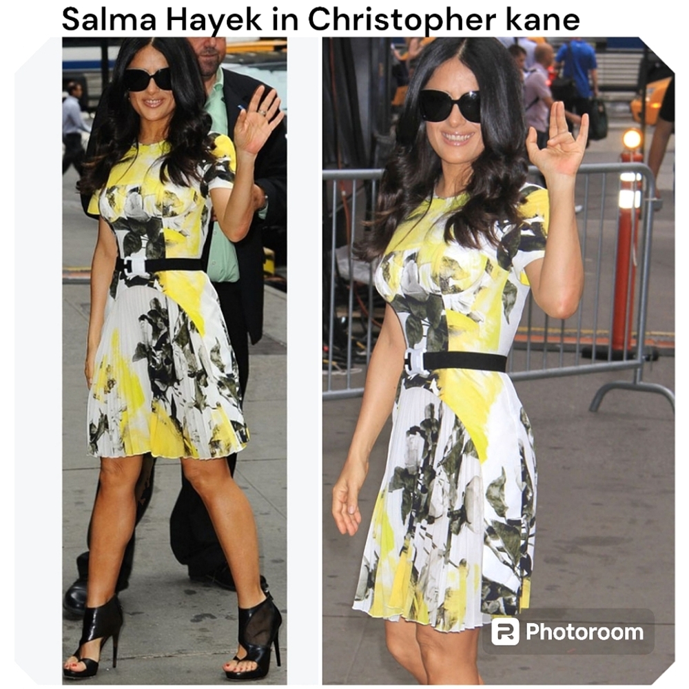 Christopher Kane Limited Edition 2013 Resort Collectio Floral Printed Silk Dress